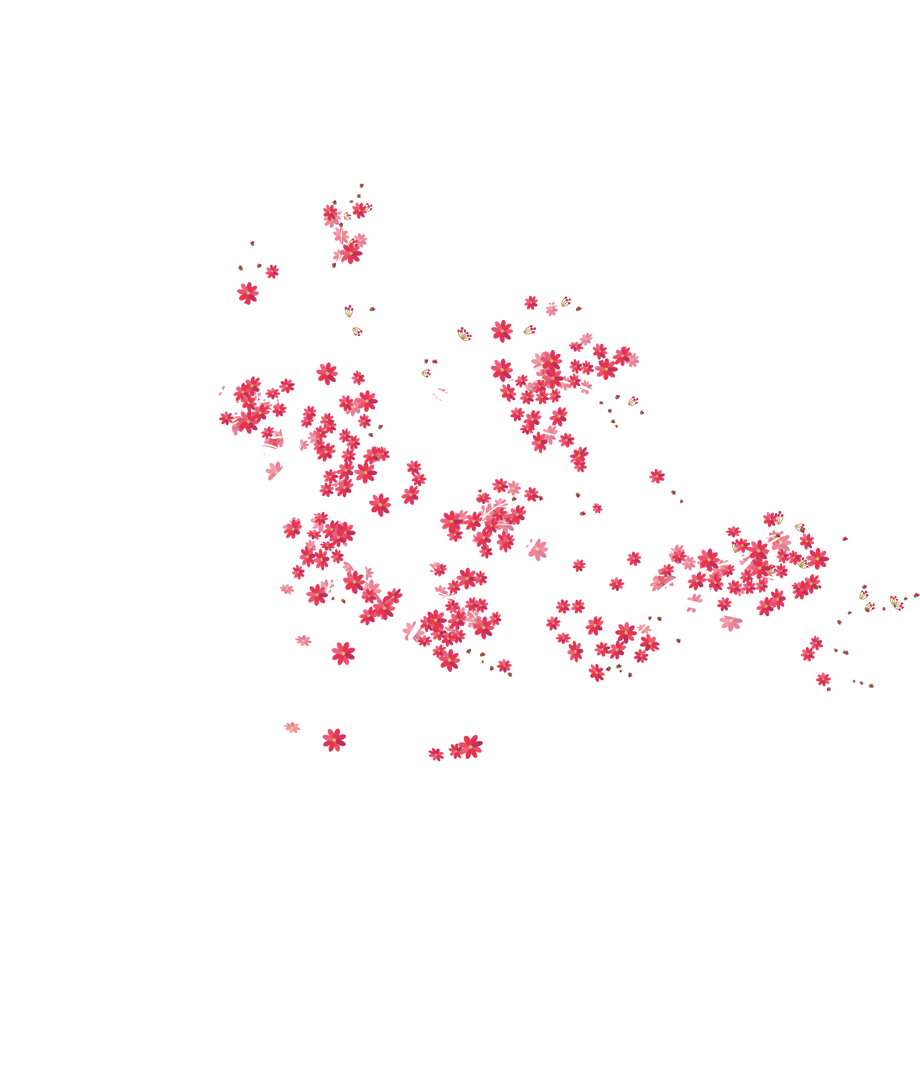 Nagumi GmbH Logo
