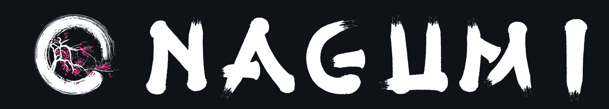 Nagumi – Pokémon und One Piece Karten Ankauf Deutschland